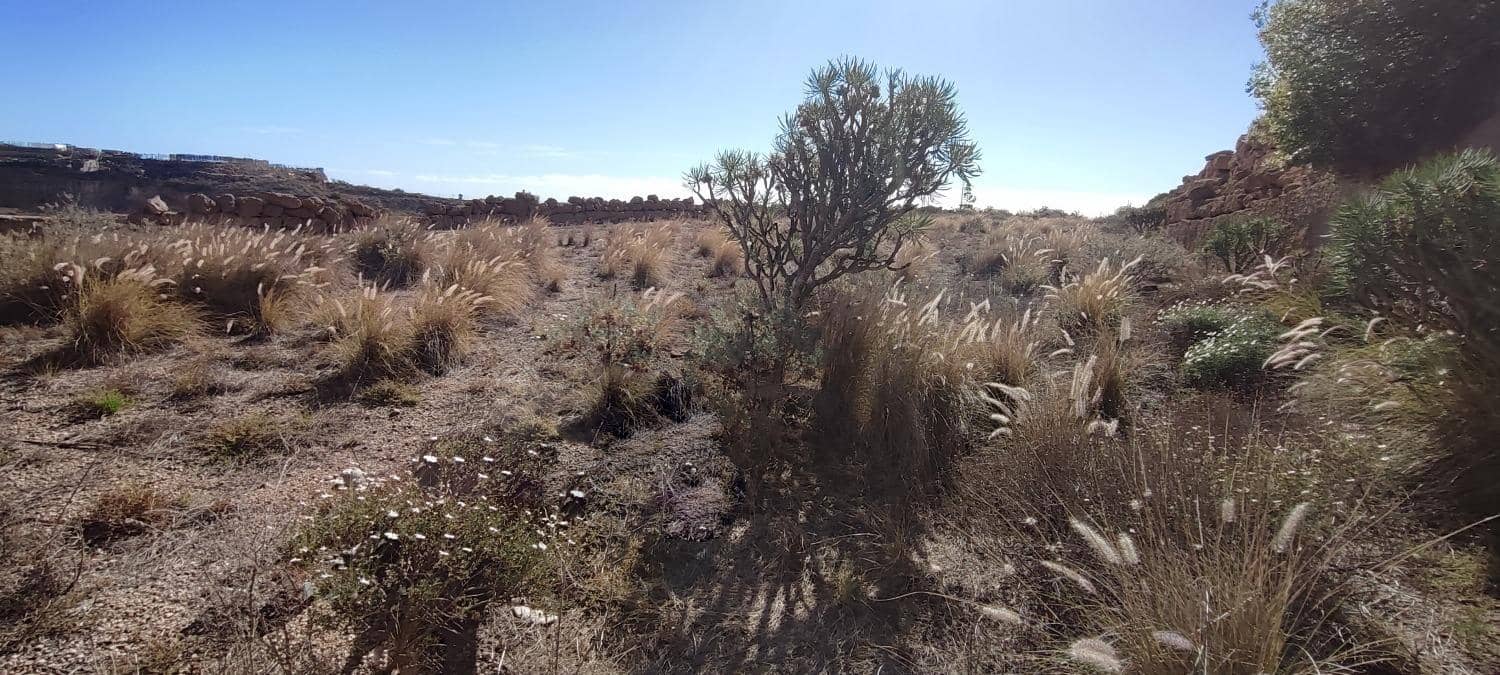 Undeveloped Land for sale in Granadilla de Abona - € 65,000 (Ref: 9732078)