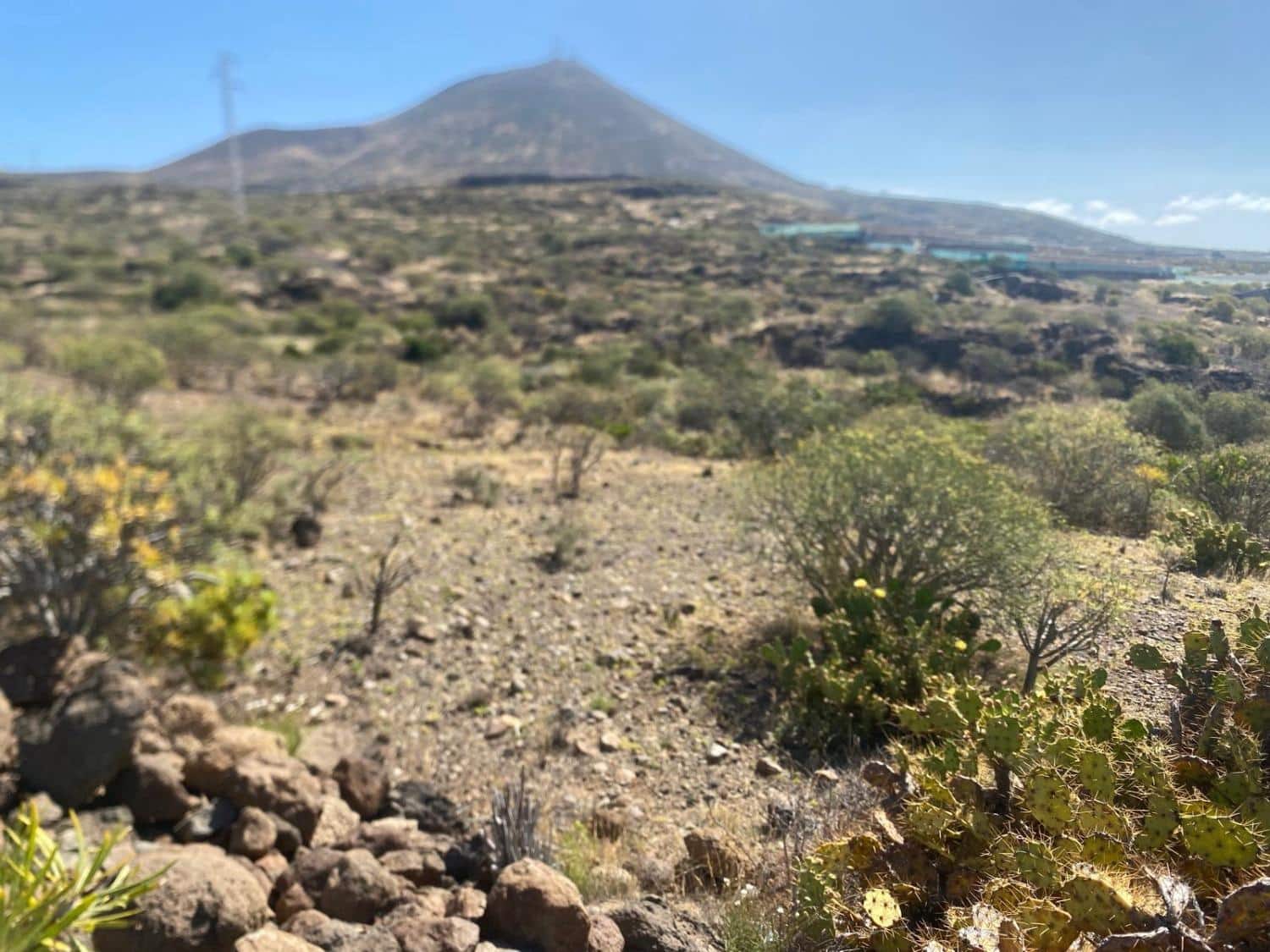 Undeveloped Land for sale in Granadilla de Abona - € 175,000 (Ref: 9924603)