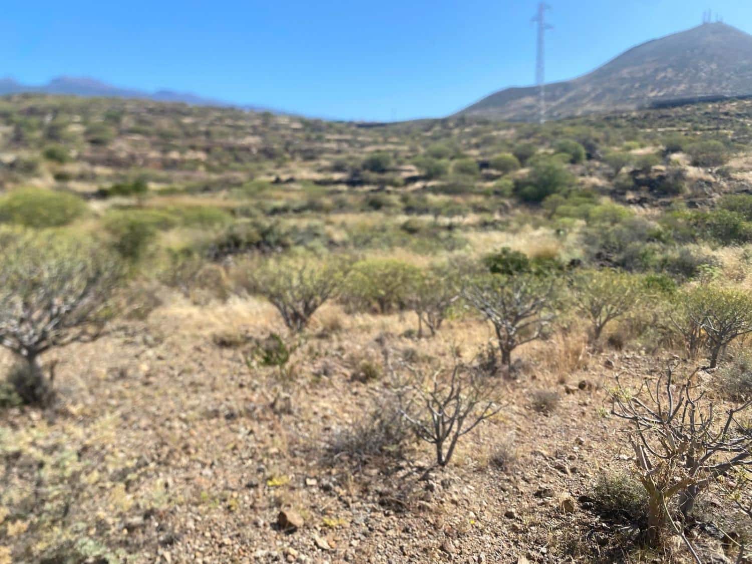 Undeveloped Land for sale in Granadilla de Abona - € 175,000 (Ref: 9924603)