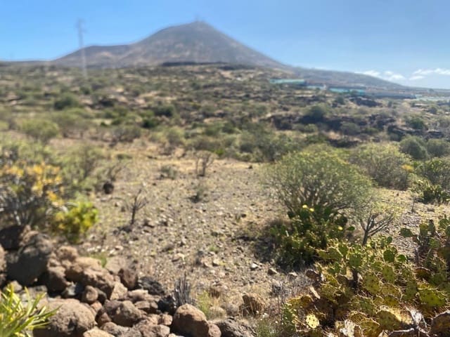 Terreno Non Edificato in vendita in Granadilla de Abona - 175.000 € (Rif: 9924603)