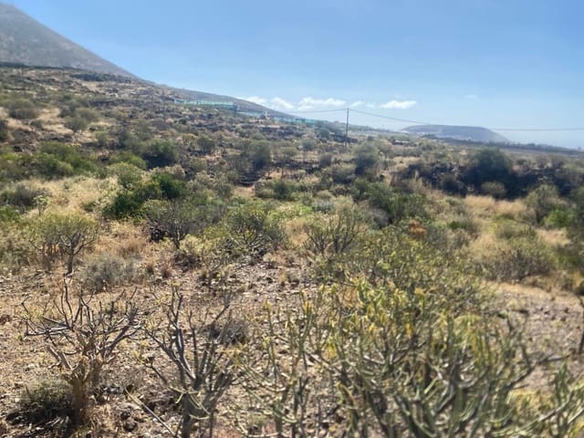 Terreno Non Edificato in vendita in Granadilla de Abona - 175.000 € (Rif: 9924603)