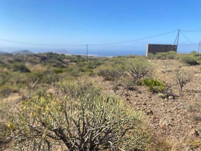 Terreno Non Edificato in vendita in Granadilla de Abona - 175.000 € (Rif: 9924603)