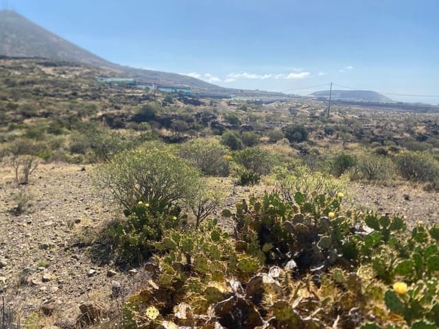 Terreno Non Edificato in vendita in Granadilla de Abona - 175.000 € (Rif: 9924603)