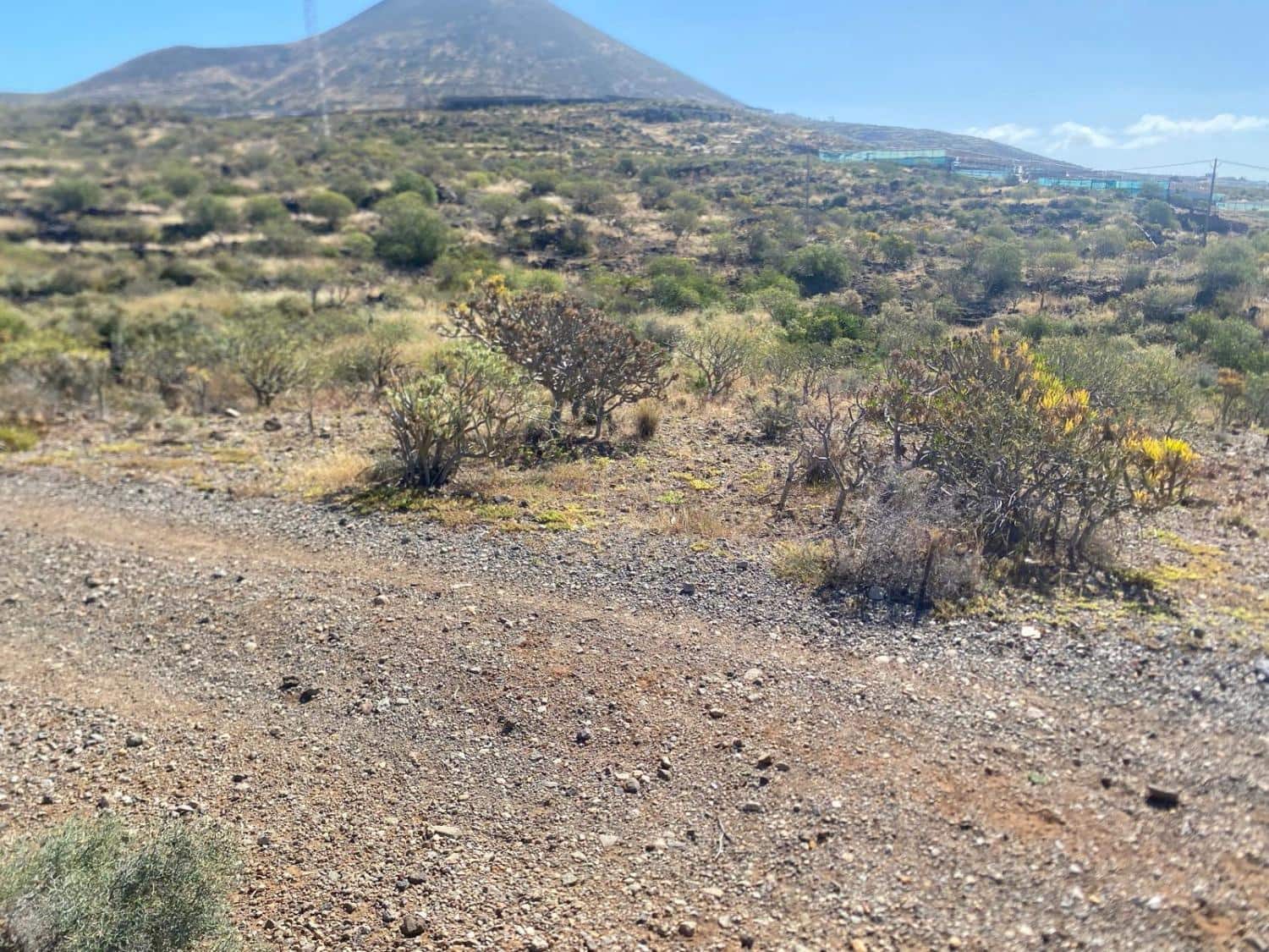 Undeveloped Land for sale in Granadilla de Abona - € 175,000 (Ref: 9924603)