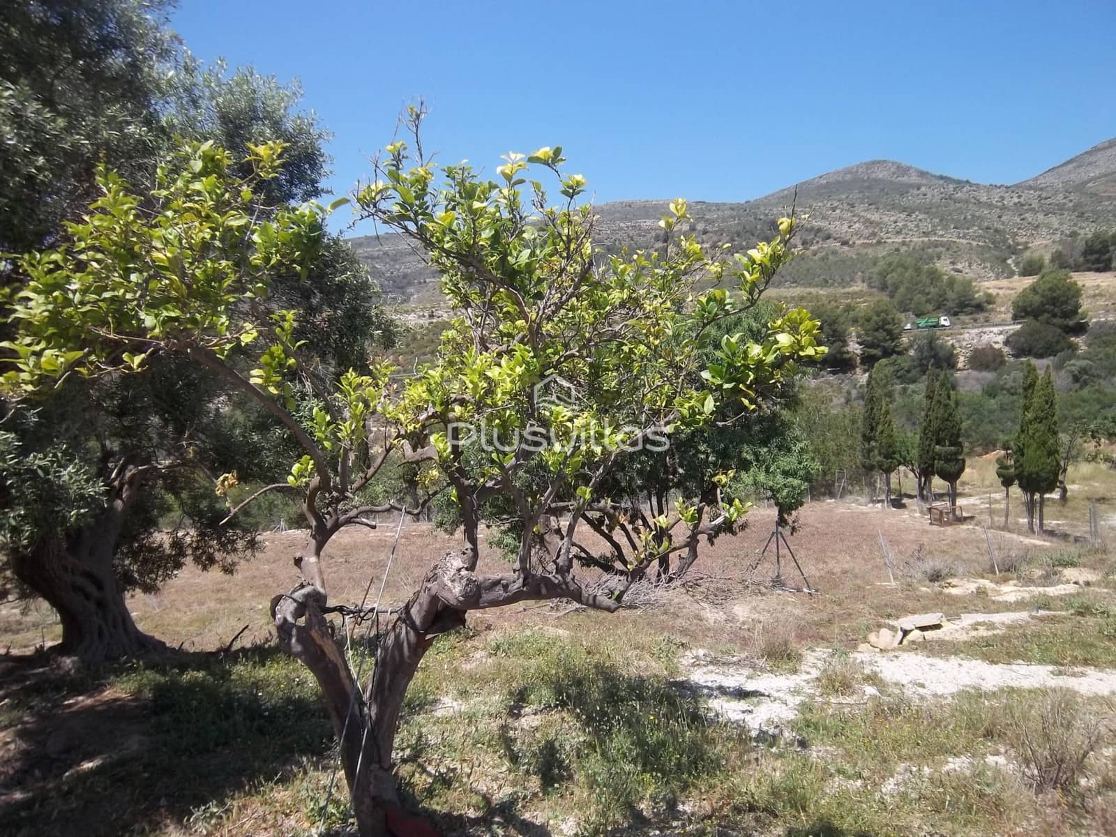 Byggetomt til salgs i Benissa - € 199 500 (Ref: 5677984)