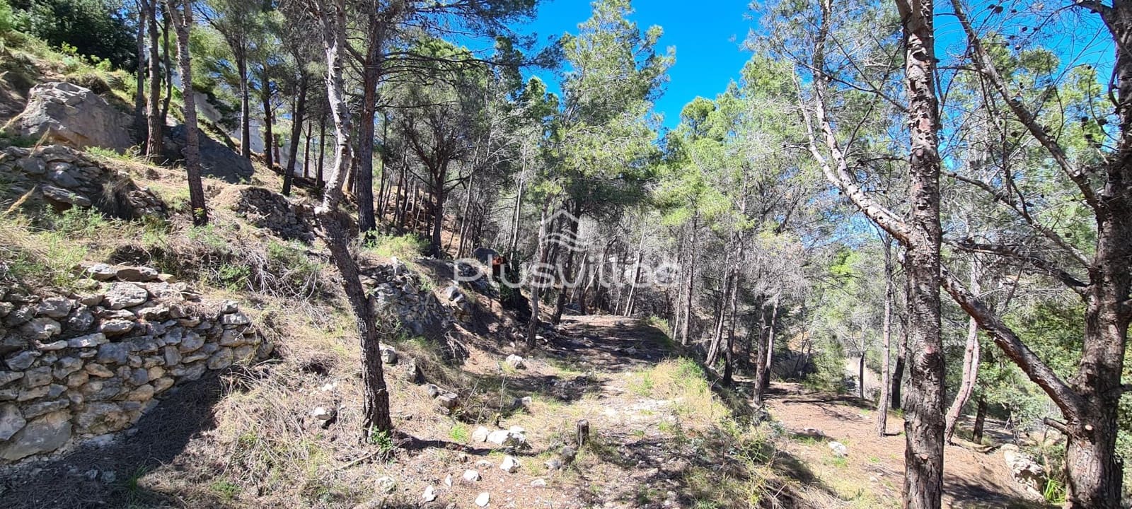 Byggegrund til salg i Calpe / Calp - € 1.345.000 (Ref: 6806925)