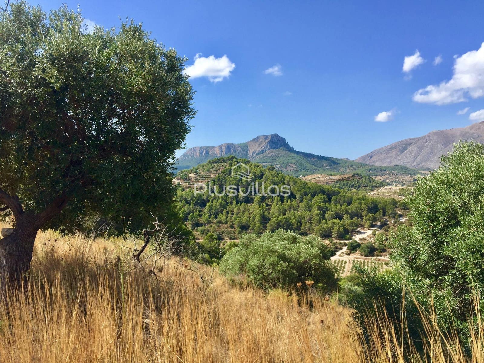 Byggegrund til salg i Benissa - € 220.000 (Ref: 7042260)