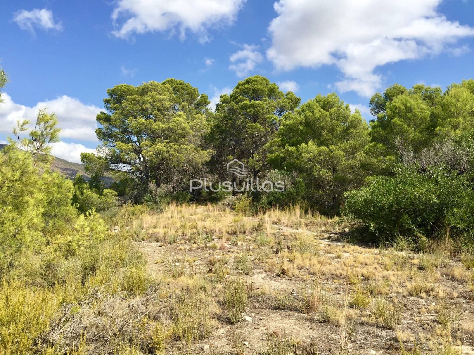 Byggegrund til salg i Benissa - € 220.000 (Ref: 7042260)