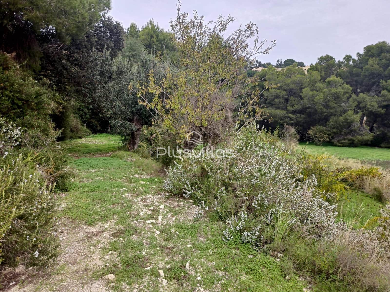 Byggetomt til salgs i Benissa - € 195 000 (Ref: 7185603)