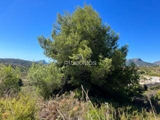 Tontti myytävänä paikassa Benissa - 110 000 € (Ref: 8126964)