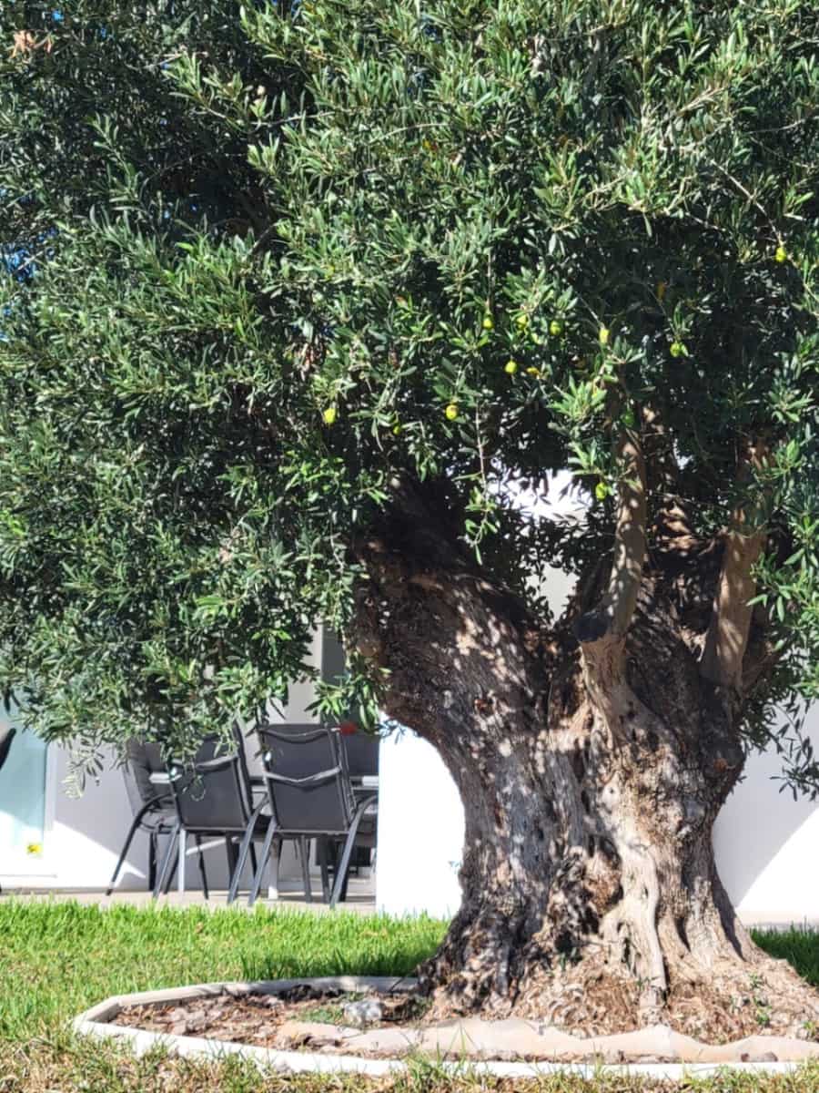 3 camera da letto Villa in vendita in Calpe / Calp con piscina - 795.000 € (Rif: 8536871)