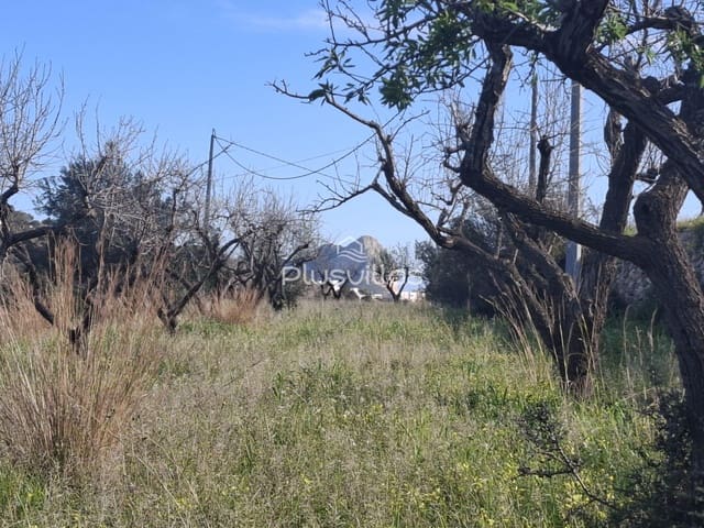 Building Plot for sale in Benissa - € 195,000 (Ref: 8861472)