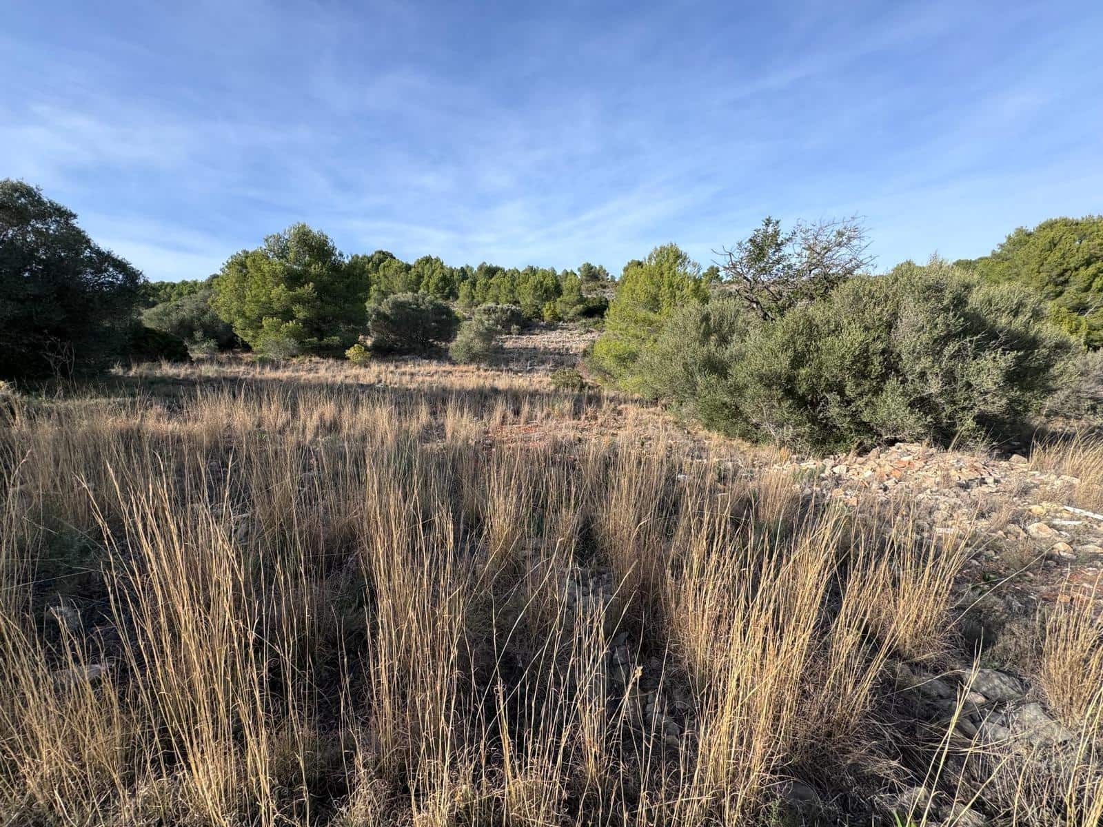 Byggetomt til salgs i Benissa - € 149 000 (Ref: 8929251)