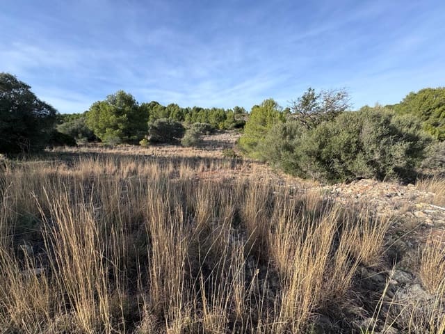 Byggetomt til salgs i Benissa - € 149 000 (Ref: 8929251)