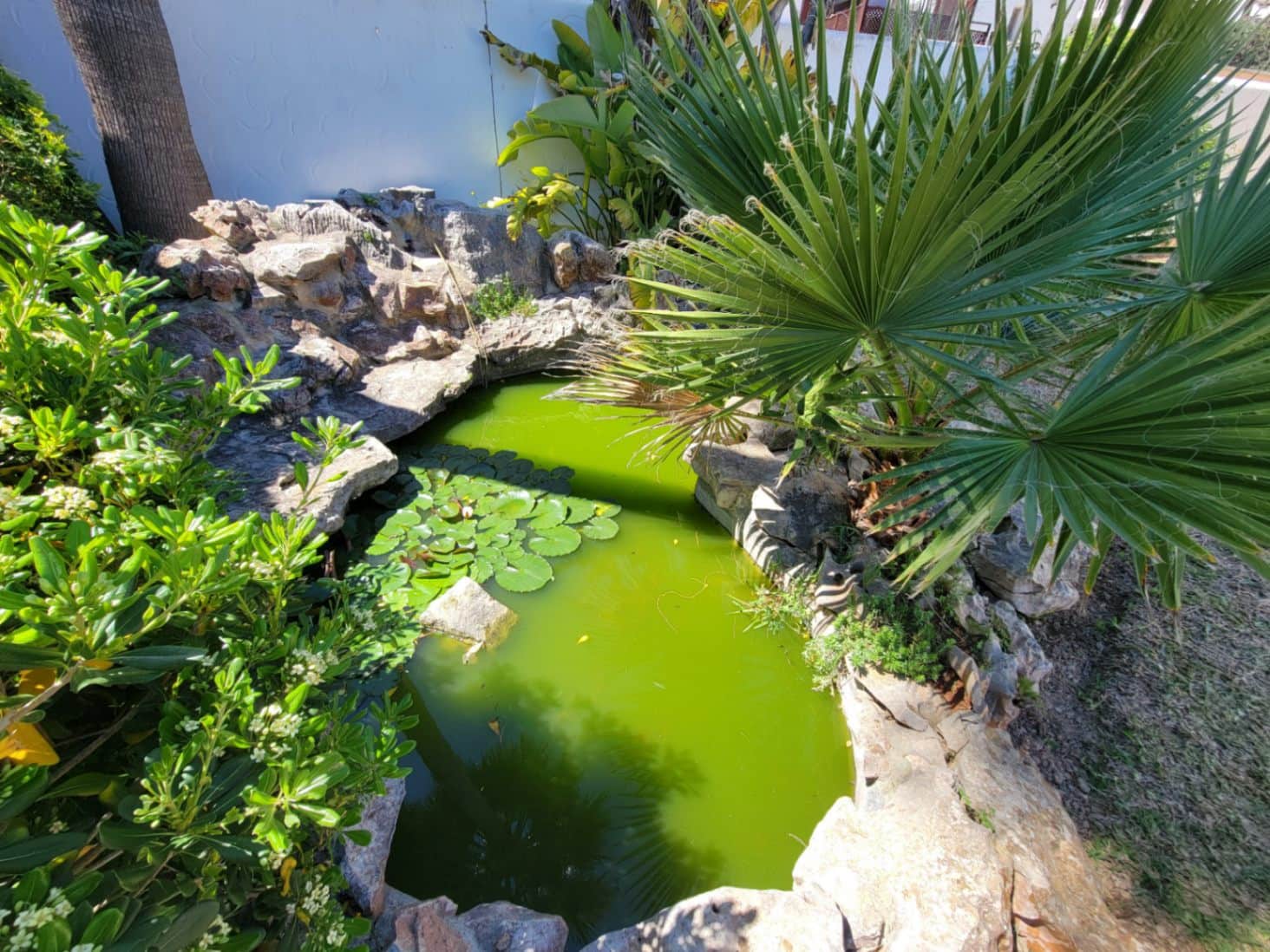 10 quarto Moradia para venda em Teulada com piscina - 895 000 € (Ref: 8949308)