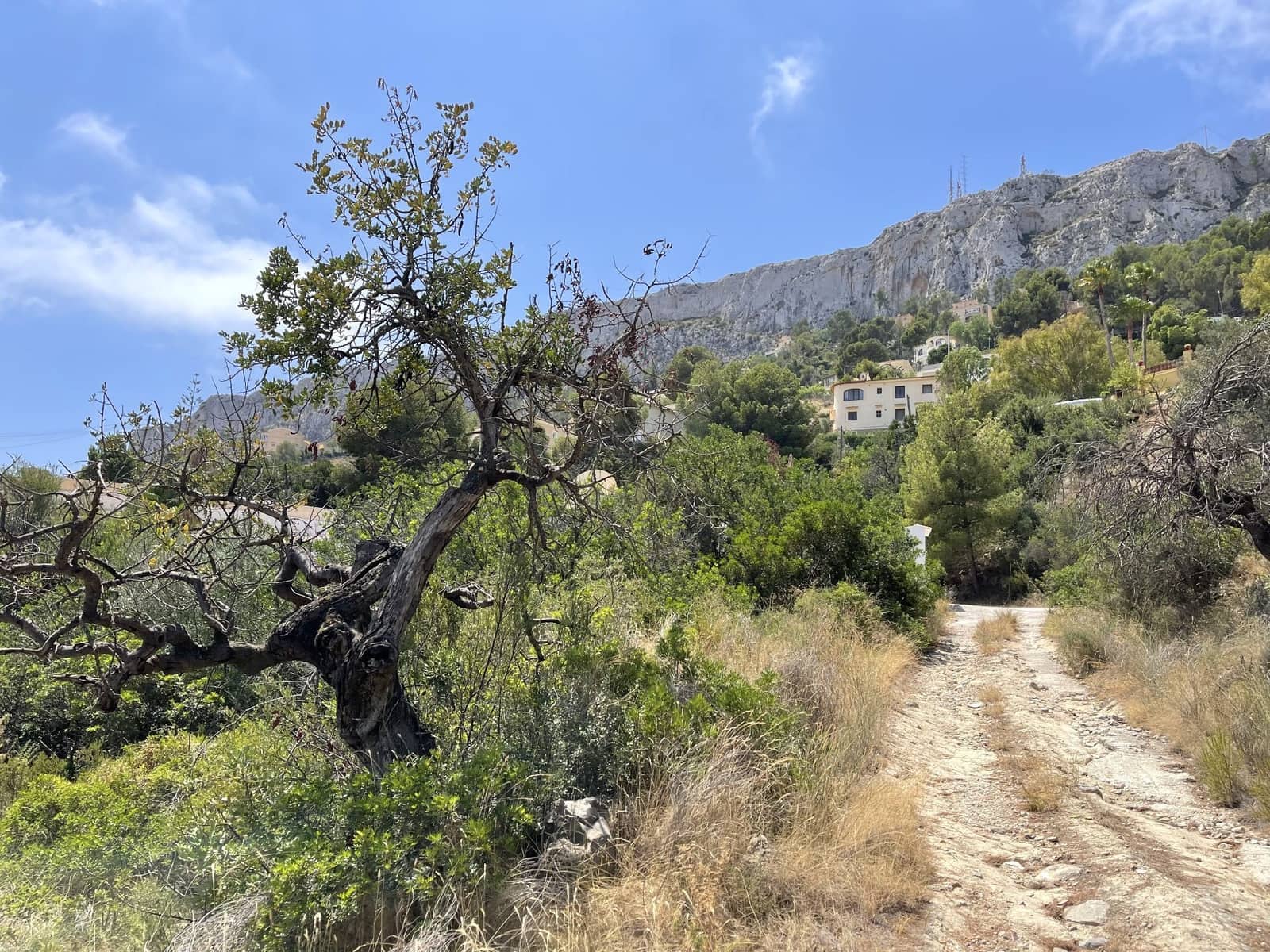 Terrain à Bâtir à vendre à Calpe / Calp - 149 000 € (Ref: 9133235)