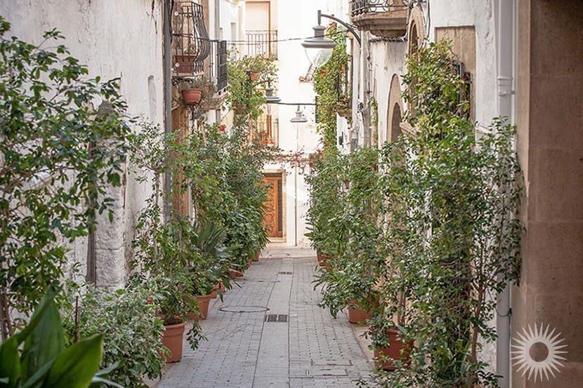 4 chambre Villa/Maison à vendre à Javea / Xabia avec piscine - 790 000 € (Ref: 9243490)