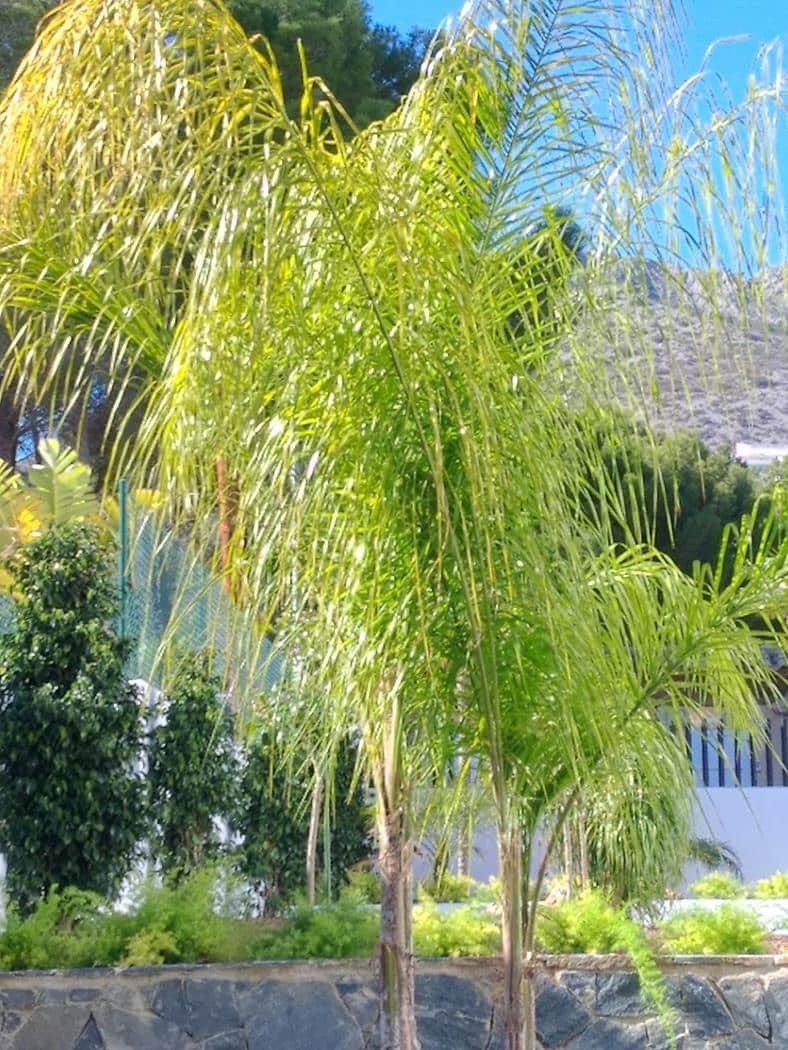 4 Zimmer Villa zu verkaufen in Altea mit Pool - 995.000 € (Ref: 9353805)