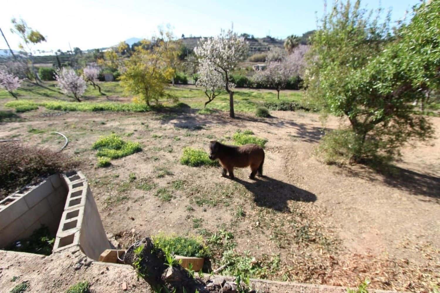 6 camera da letto Villa in vendita in La Nucia con piscina - 1.200.000 € (Rif: 9353809)