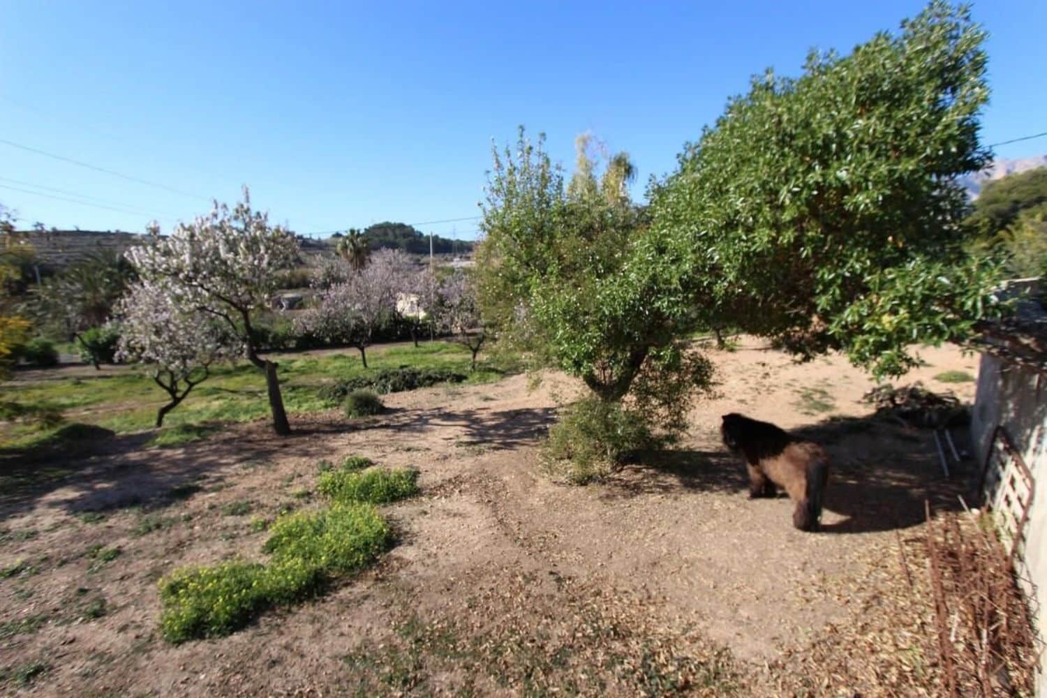 6 camera da letto Villa in vendita in La Nucia con piscina - 1.200.000 € (Rif: 9353809)