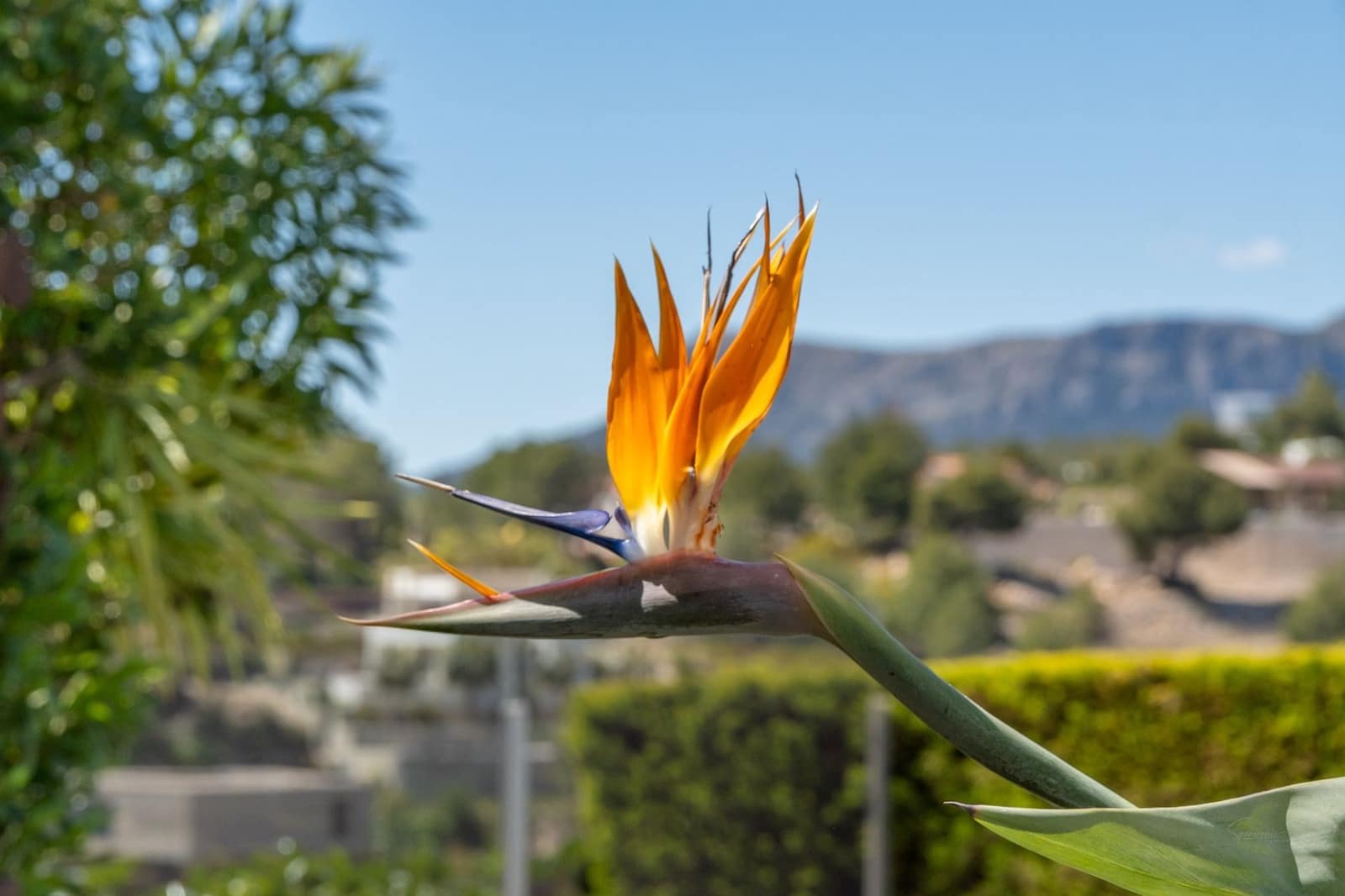 Chalet de 4 habitaciones en Benissa en venta con piscina - 1.100.000 € (Ref: 9804776)