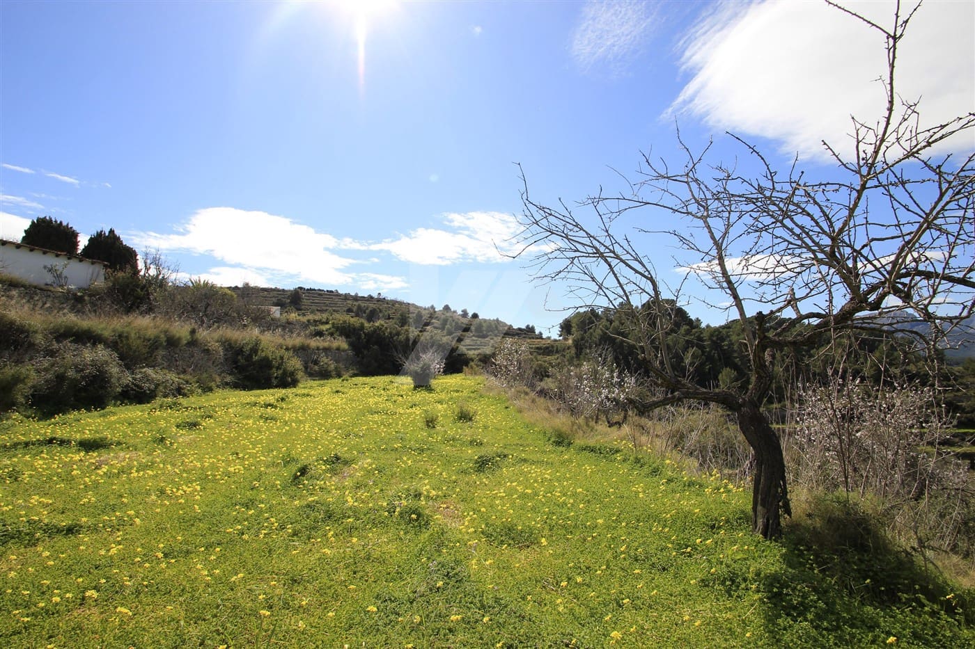 Building Plot for sale in Benissa - € 190,000 (Ref: 9836739)