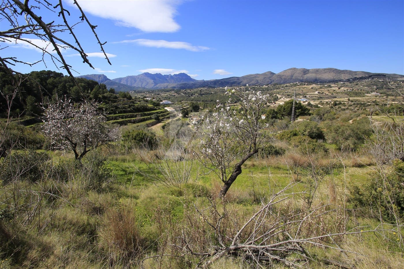Building Plot for sale in Benissa - € 190,000 (Ref: 9836739)