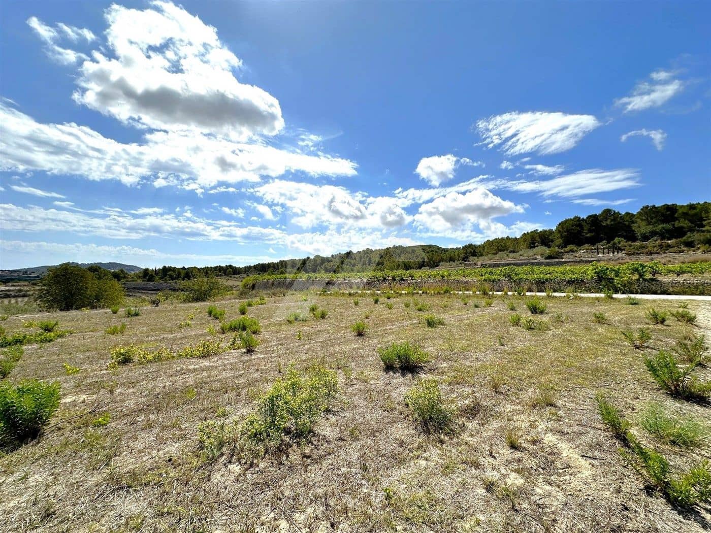 Tontti myytävänä paikassa Denia - 220 000 € (Ref: 9839654)