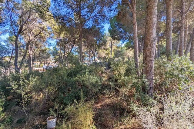 6 soverom Villa til salgs i Moraira, Teulada-Moraira med svømmebasseng - € 4 500 000 (Ref: 9946483)