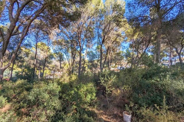 6 soverom Villa til salgs i Moraira, Teulada-Moraira med svømmebasseng - € 4 500 000 (Ref: 9946483)