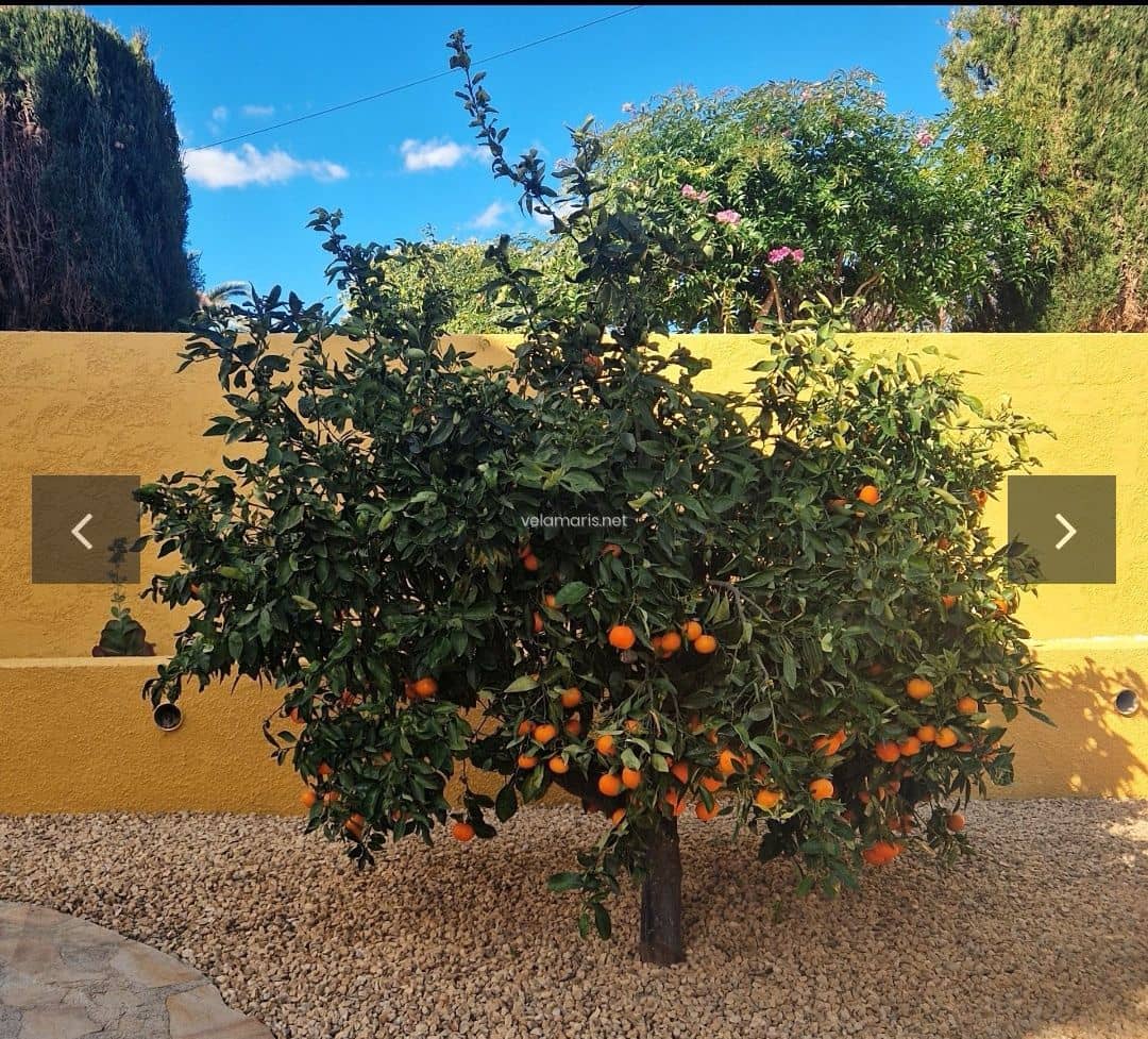 4 soveværelse Villa til salg i Calpe / Calp med swimmingpool - € 595.000 (Ref: 9946533)