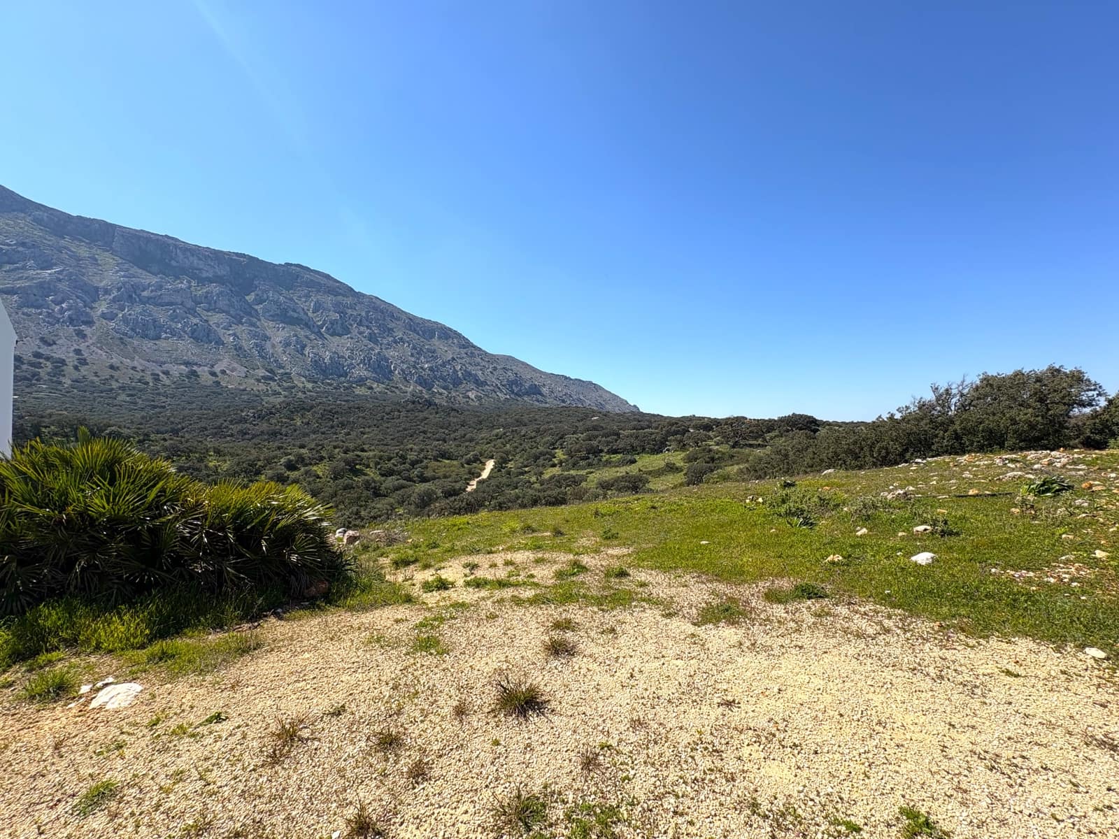 Finca/Casa Rural de 5 habitaciones en Antequera en alquiler con garaje - 1.700 € (Ref: 9807126)