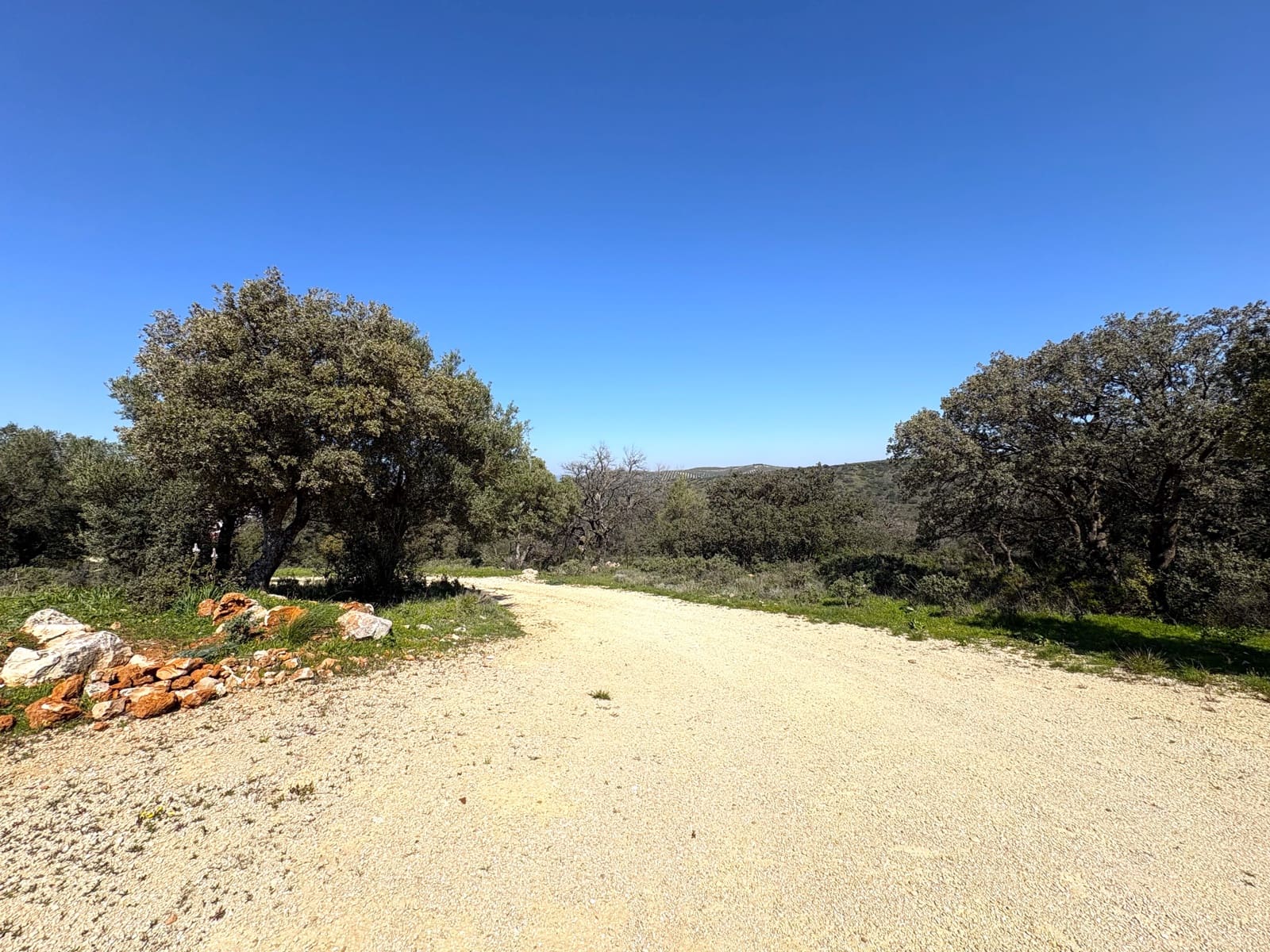 Finca/Casa Rural de 5 habitaciones en Antequera en alquiler con garaje - 1.700 € (Ref: 9807126)