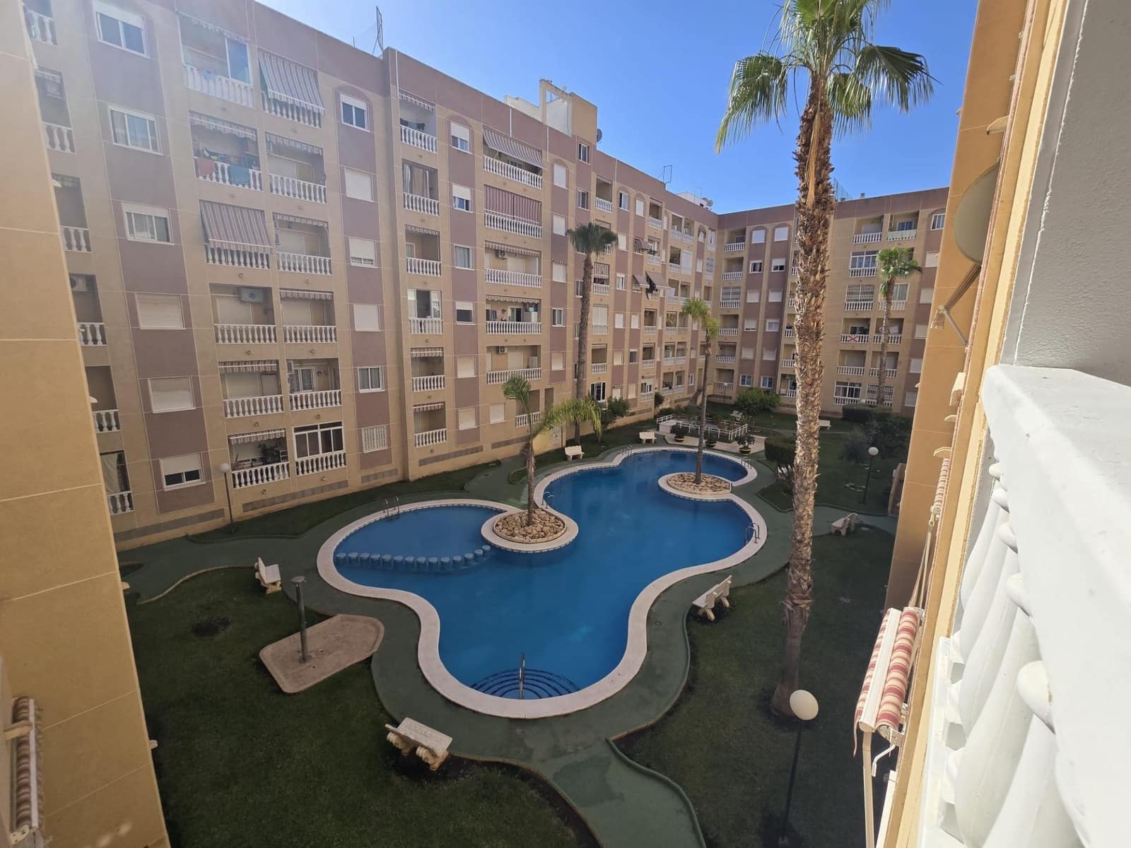 1 bedroom Studio for sale in Torrevieja with pool - € 104,900 (Ref: 9903977)