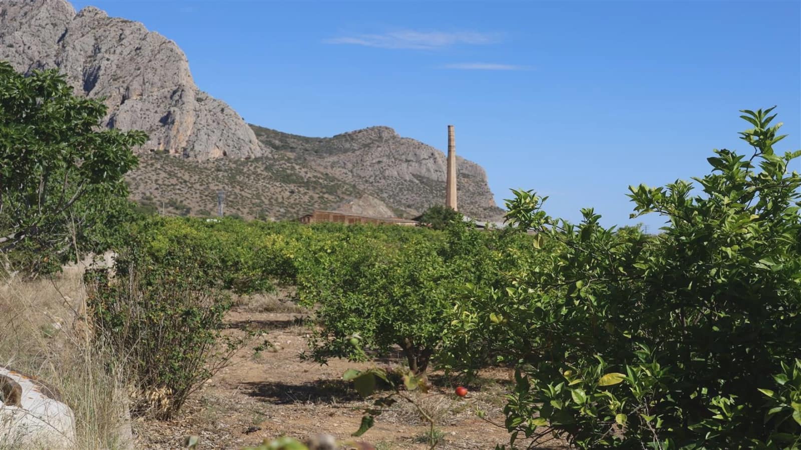 4 soveværelse Finca/Landehus til salg i Ondara - € 500.000 (Ref: 9164420)