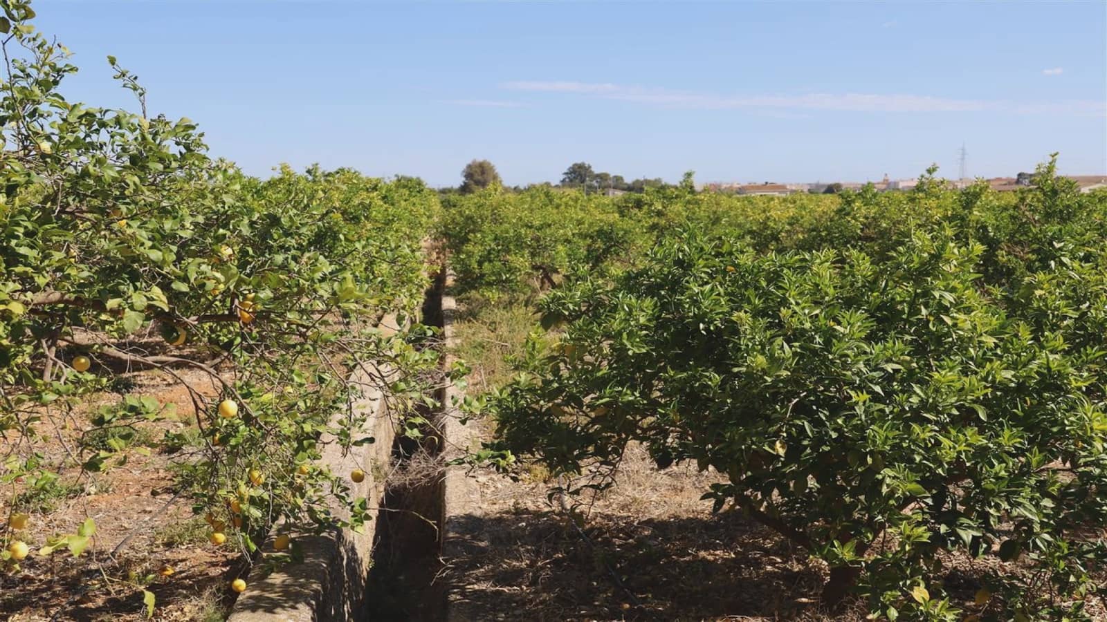 4 soveværelse Finca/Landehus til salg i Ondara - € 500.000 (Ref: 9164420)