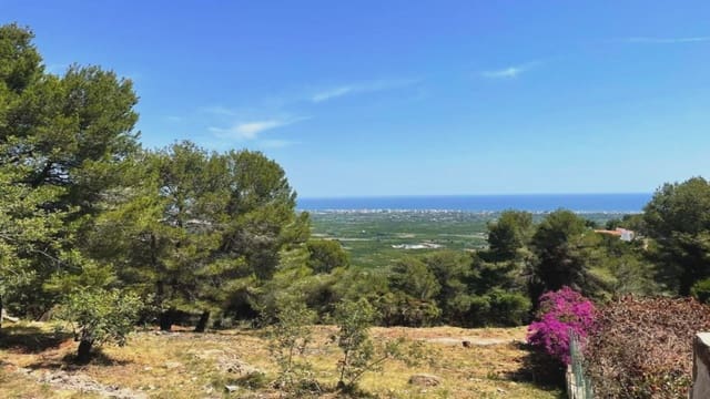 Building Plot for sale in Oliva - € 320,000 (Ref: 9164745)