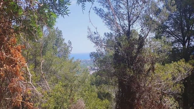 Building Plot for sale in Oliva - € 320,000 (Ref: 9164745)