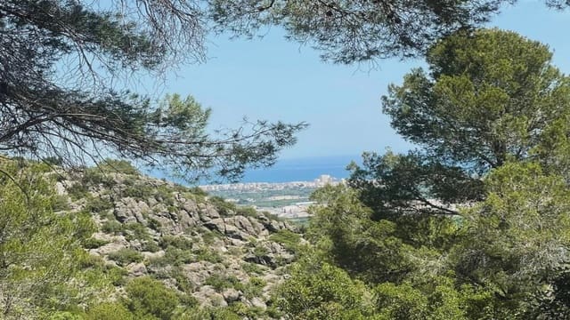 Building Plot for sale in Oliva - € 320,000 (Ref: 9164745)