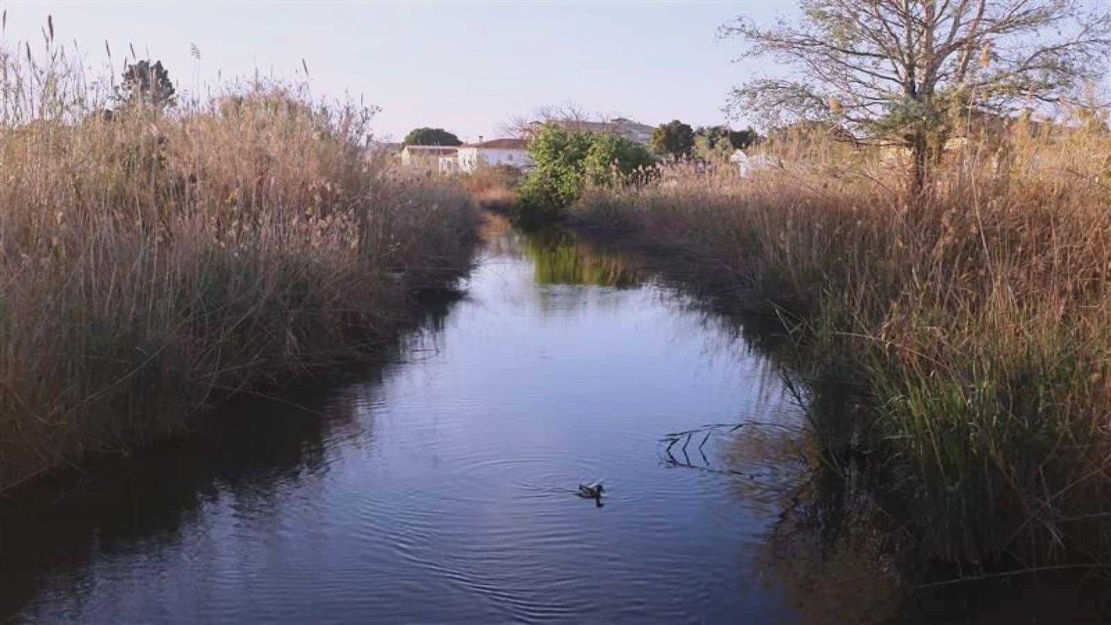 Tomt till salu i Denia - 4 800 000 € (Ref: 9164749)