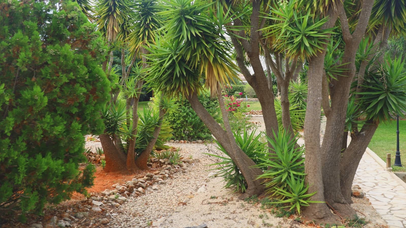 4 soverom Finca/Herregård til salgs i Denia med svømmebasseng garasje - € 995 000 (Ref: 9194749)