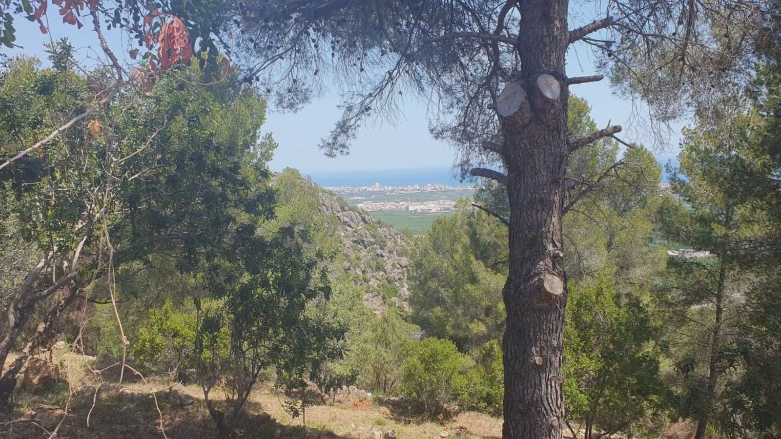 Tomt till salu i La Font d'En Carros - 160 000 € (Ref: 9437809)