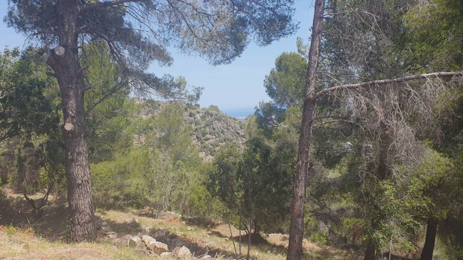 Tomt till salu i La Font d'En Carros - 160 000 € (Ref: 9437809)