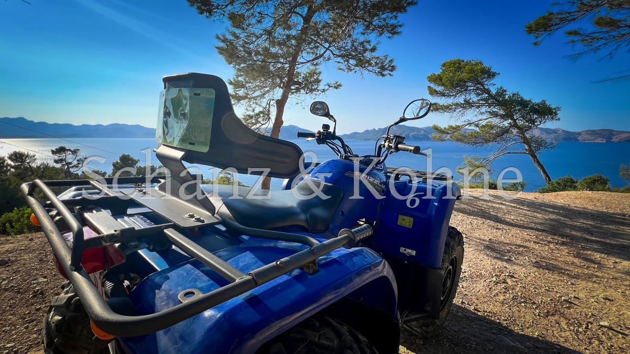 3 soveværelse Virksomhed til salg i Alcudia - € 230.000 (Ref: 7771354)