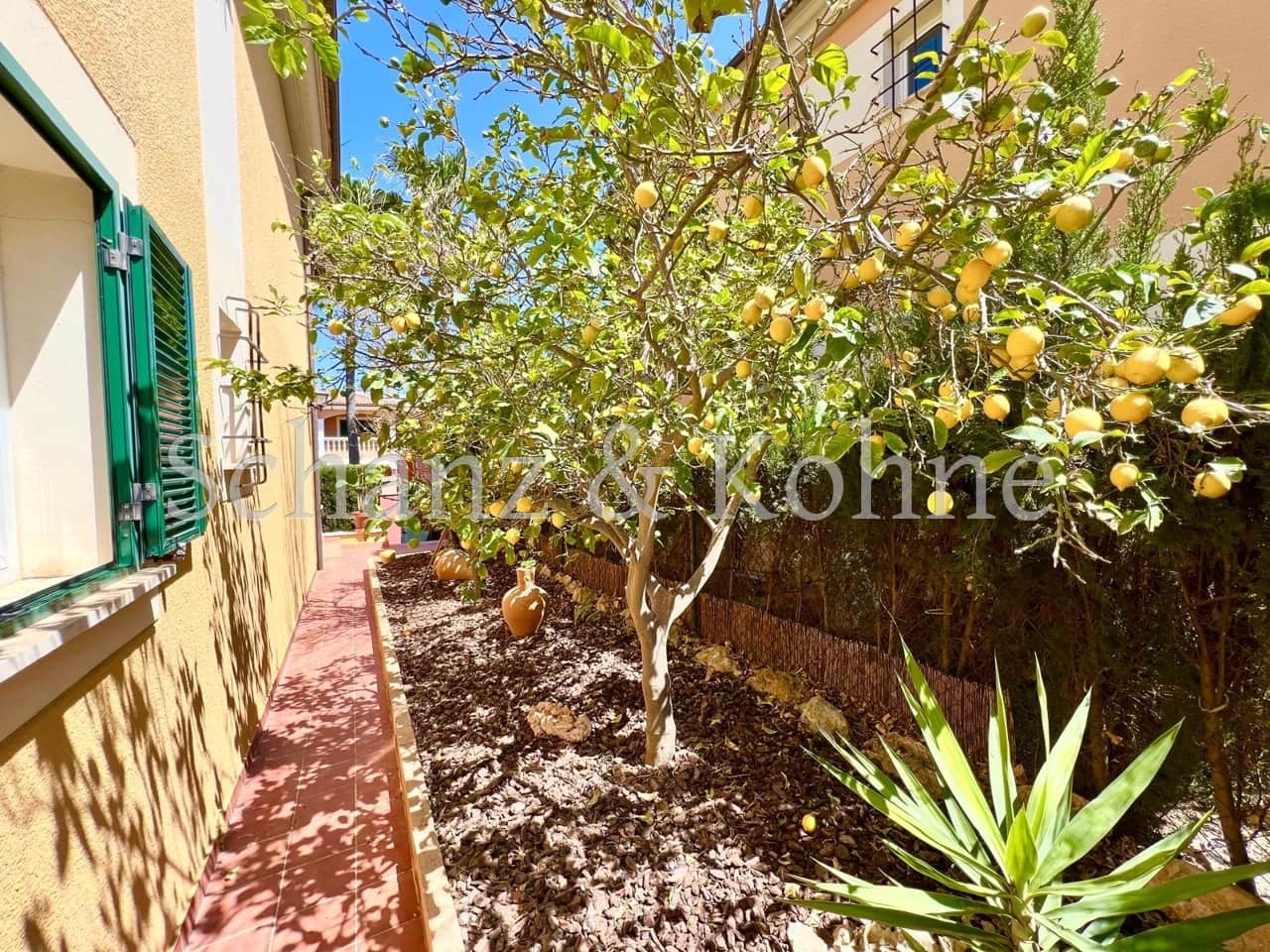 1 soverom Leilighet til leie i Tolleric - € 1 450 (Ref: 8845142)