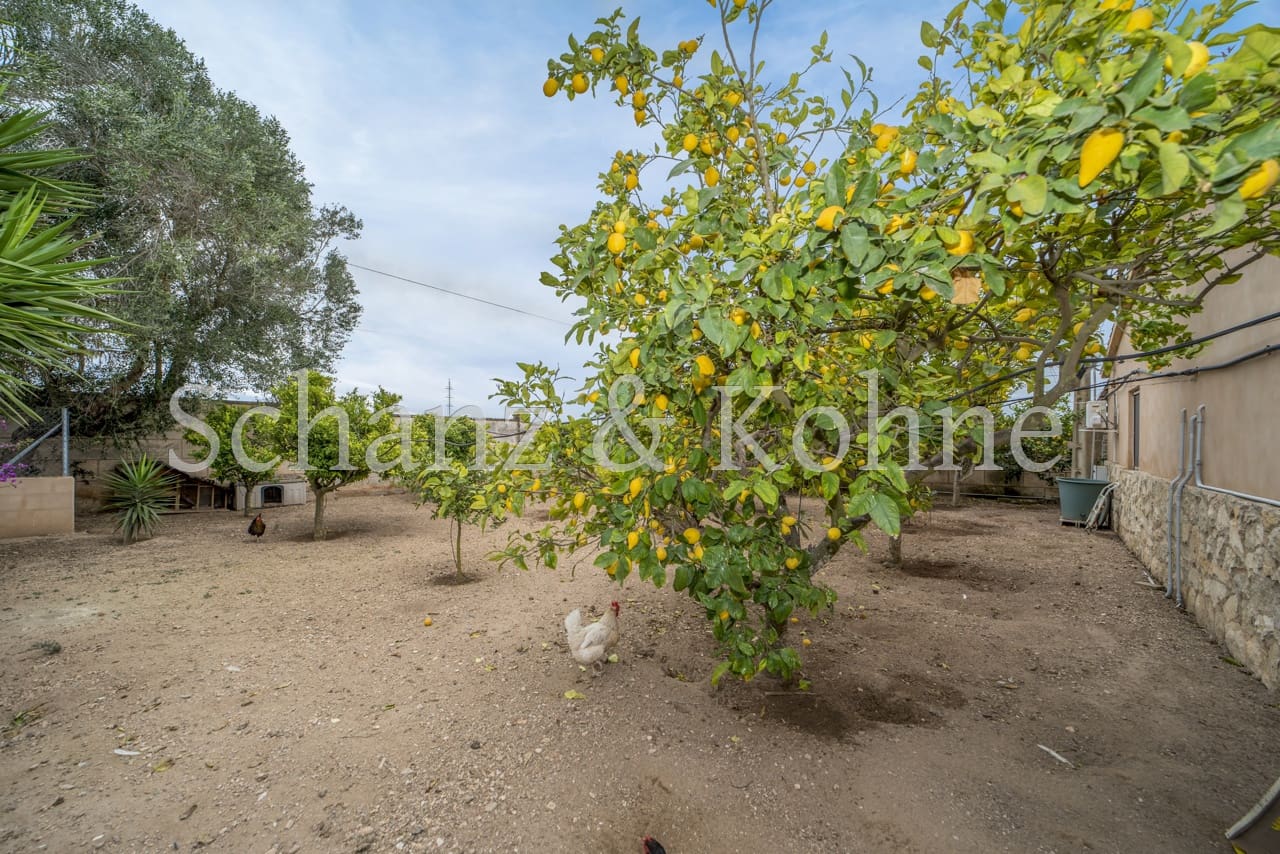 4 soveværelse Finca/Landehus til salg i Las Maravillas med swimmingpool - € 1.750.000 (Ref: 8888948)