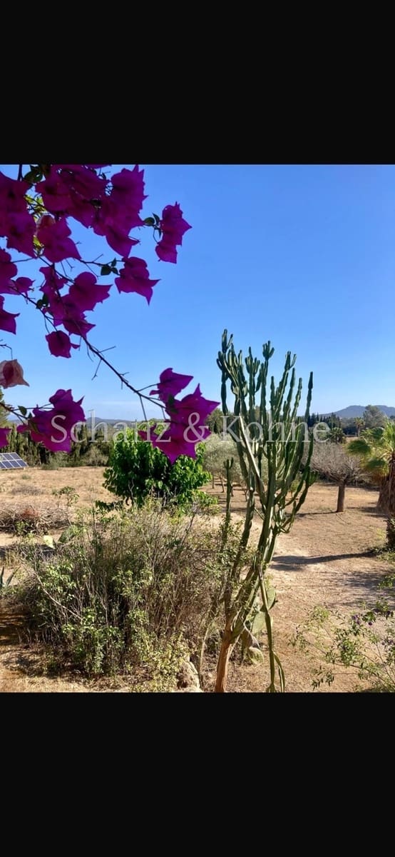 3 chambre Finca/Maison de Campagne à vendre à Sant Joan avec piscine - 789 000 € (Ref: 9170657)