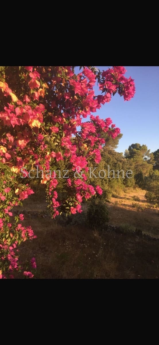 3 chambre Finca/Maison de Campagne à vendre à Sant Joan avec piscine - 789 000 € (Ref: 9170657)