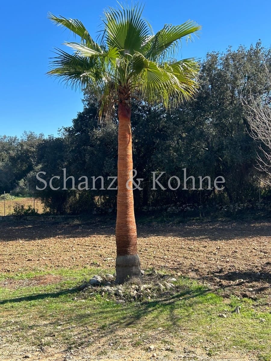 3 chambre Finca/Maison de Campagne à vendre à Sant Joan avec piscine - 789 000 € (Ref: 9170657)