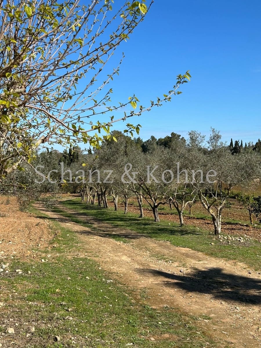 3 chambre Finca/Maison de Campagne à vendre à Sant Joan avec piscine - 789 000 € (Ref: 9170657)